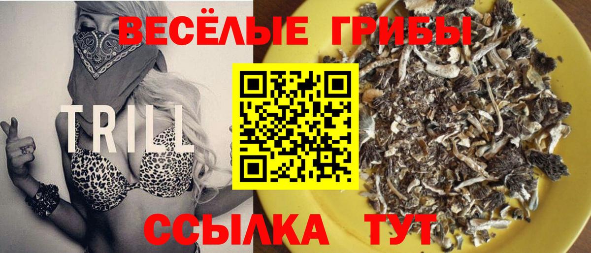Галлюциногенные грибы Psilocybine cubensis  Вход с VPN  Псилоцибиновые грибы прущие грибы  Видное 