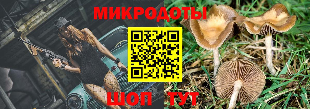 Галлюциногенные грибы Psilocybine cubensis Видное